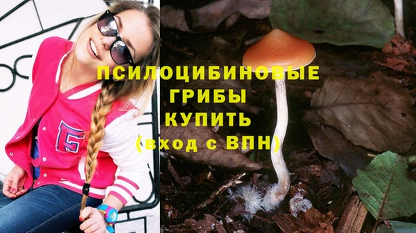 a pvp Алексеевка