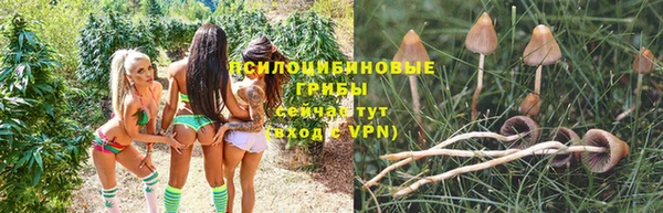 гидропоника Алзамай