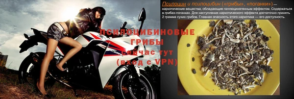 меф Алексин