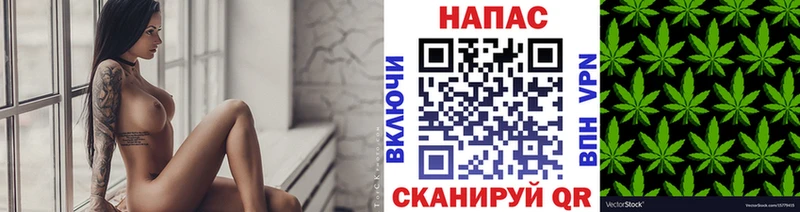 mega ссылки  Междуреченск  Марихуана MAZAR  как найти закладки 